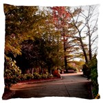 Leo Harrison St Pk  Path 2 Large Cushion Case (Two Sides)