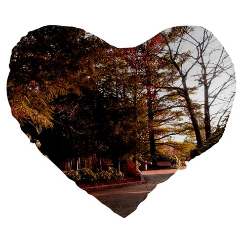 Leo Harrison St Pk  Path 2 Large 19  Premium Heart Shape Cushion from ArtsNow.com Front