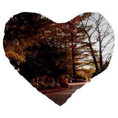 Leo Harrison St Pk  Path 2 Large 19  Premium Heart Shape Cushion from ArtsNow.com Front