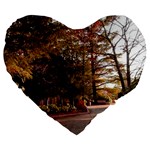 Leo Harrison St Pk  Path 2 Large 19  Premium Heart Shape Cushion