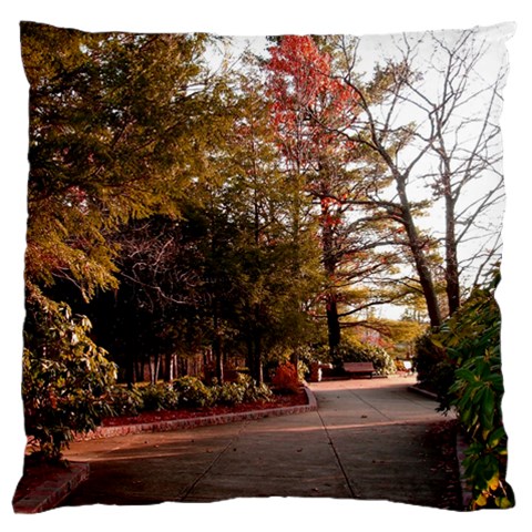 Leo Harrison St Pk  Path 2 Large Flano Cushion Case (One Side) from ArtsNow.com Front