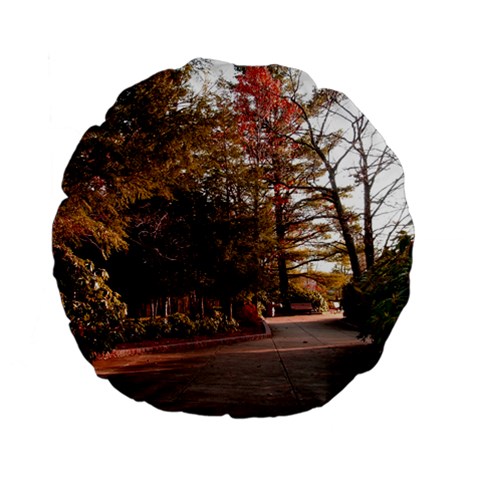 Leo Harrison St Pk  Path 2 Standard 15  Premium Flano Round Cushion  from ArtsNow.com Front