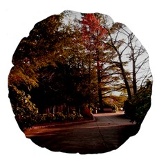 Leo Harrison St Pk  Path 2 Large 18  Premium Flano Round Cushion  from ArtsNow.com Back