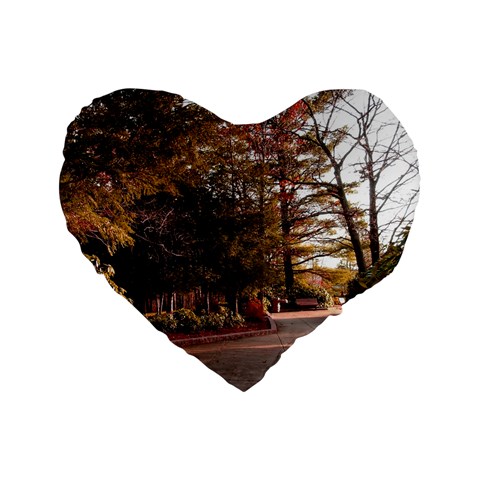 Leo Harrison St Pk  Path 2 Standard 16  Premium Flano Heart Shape Cushion  from ArtsNow.com Front