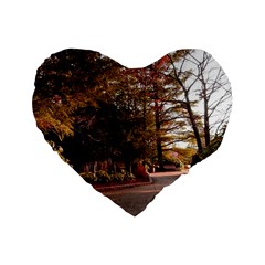 Leo Harrison St Pk  Path 2 Standard 16  Premium Flano Heart Shape Cushion  from ArtsNow.com Front