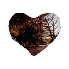 Leo Harrison St Pk  Path 2 Standard 16  Premium Flano Heart Shape Cushion  from ArtsNow.com Back