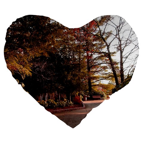 Leo Harrison St Pk  Path 2 Large 19  Premium Flano Heart Shape Cushion from ArtsNow.com Front