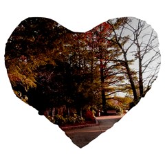 Leo Harrison St Pk  Path 2 Large 19  Premium Flano Heart Shape Cushion from ArtsNow.com Back