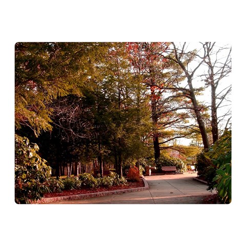 Leo Harrison St Pk  Path 2 Double Sided Flano Blanket (Mini) from ArtsNow.com 35 x27  Blanket Front