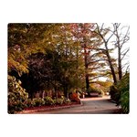 Leo Harrison St Pk  Path 2 Double Sided Flano Blanket (Mini)