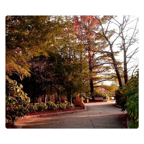 Leo Harrison St Pk  Path 2 Double Sided Flano Blanket (Small) from ArtsNow.com 50 x40  Blanket Front