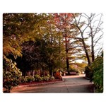 Leo Harrison St Pk  Path 2 Double Sided Flano Blanket (Medium)