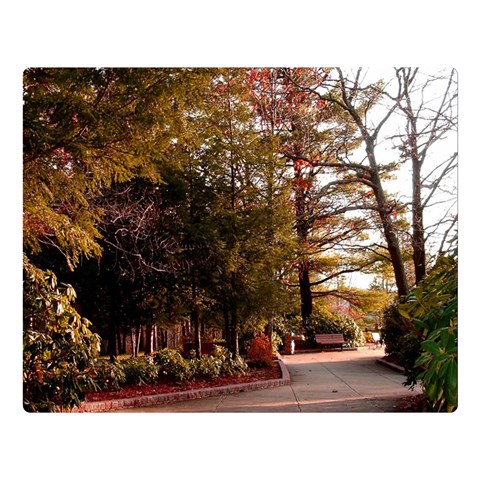 Leo Harrison St Pk  Path 2 Double Sided Flano Blanket (Large) from ArtsNow.com 80 x60  Blanket Front