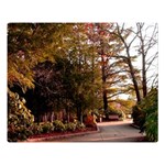 Leo Harrison St Pk  Path 2 Double Sided Flano Blanket (Large)
