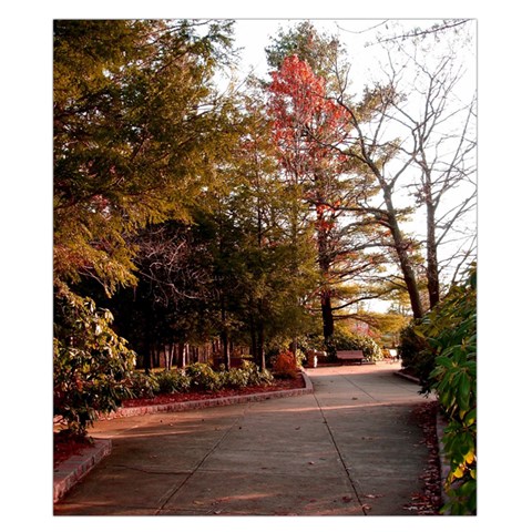Leo Harrison St Pk  Path 2 Duvet Cover (California King Size) from ArtsNow.com Duvet Quilt