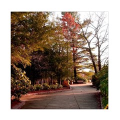 Leo Harrison St Pk  Path 2 Duvet Cover Double Side (Full/ Double Size) from ArtsNow.com Back
