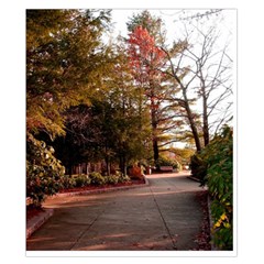 Leo Harrison St Pk  Path 2 Duvet Cover Double Side (California King Size) from ArtsNow.com Back