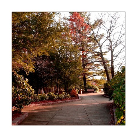 Leo Harrison St Pk  Path 2 Square Tapestry (Large) from ArtsNow.com Front