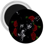 Slash 3  Magnets