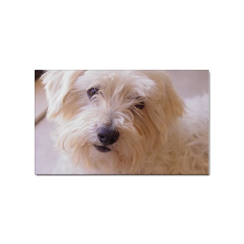 Dads Dog Sticker Rectangular (10 pack) from ArtsNow.com Front