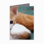 Cute Kitten Mini Greeting Card