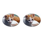 Cute Kitten Cufflinks (Oval)