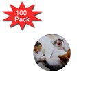 Sleeping Kittens 1  Mini Button (100 pack) 