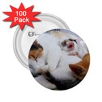 Sleeping Kittens 2.25  Button (100 pack)