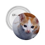 Cute Kitten 2 2.25  Button