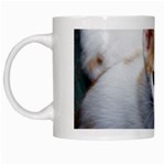 Cute Kitten 2 White Mug