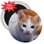 Cute Kitten 2 3  Magnet (100 pack)