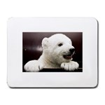 Polar Bear Cub Smile Small Mousepad
