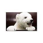 Polar Bear Cub Smile Sticker (Rectangular)
