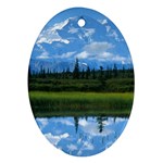 Denali National Park Ornament (Oval)
