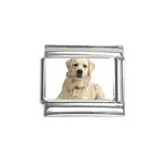 Labrador Retriever Dog Italian Charm (9mm)