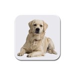 Labrador Retriever Dog Rubber Square Coaster (4 pack)