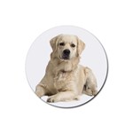 Labrador Retriever Dog Rubber Round Coaster (4 pack)