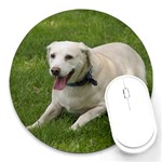 Labrador Retriever Dog M1 Round Mousepad