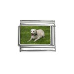 Labrador Retriever Dog M1 Italian Charm (9mm)