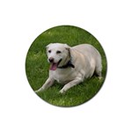 Labrador Retriever Dog M1 Rubber Round Coaster (4 pack)