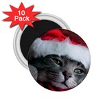 Chat_02_1024x768 2.25  Magnet (10 pack)