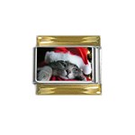 Chat_02_1024x768 Gold Trim Italian Charm (9mm)