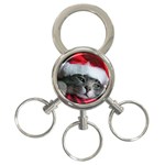 Chat_02_1024x768 3-Ring Key Chain