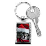 Chat_02_1024x768 Key Chain (Rectangle)