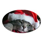 Chat_02_1024x768 Magnet (Oval)