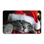 Chat_02_1024x768 Magnet (Rectangular)