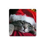 Chat_02_1024x768 Magnet (Square)