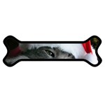 Chat_02_1024x768 Magnet (Dog Bone)