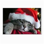 Chat_02_1024x768 Postcards 5  x 7  (Pkg of 10)