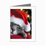 Chat_02_1024x768 Mini Greeting Cards (Pkg of 8)